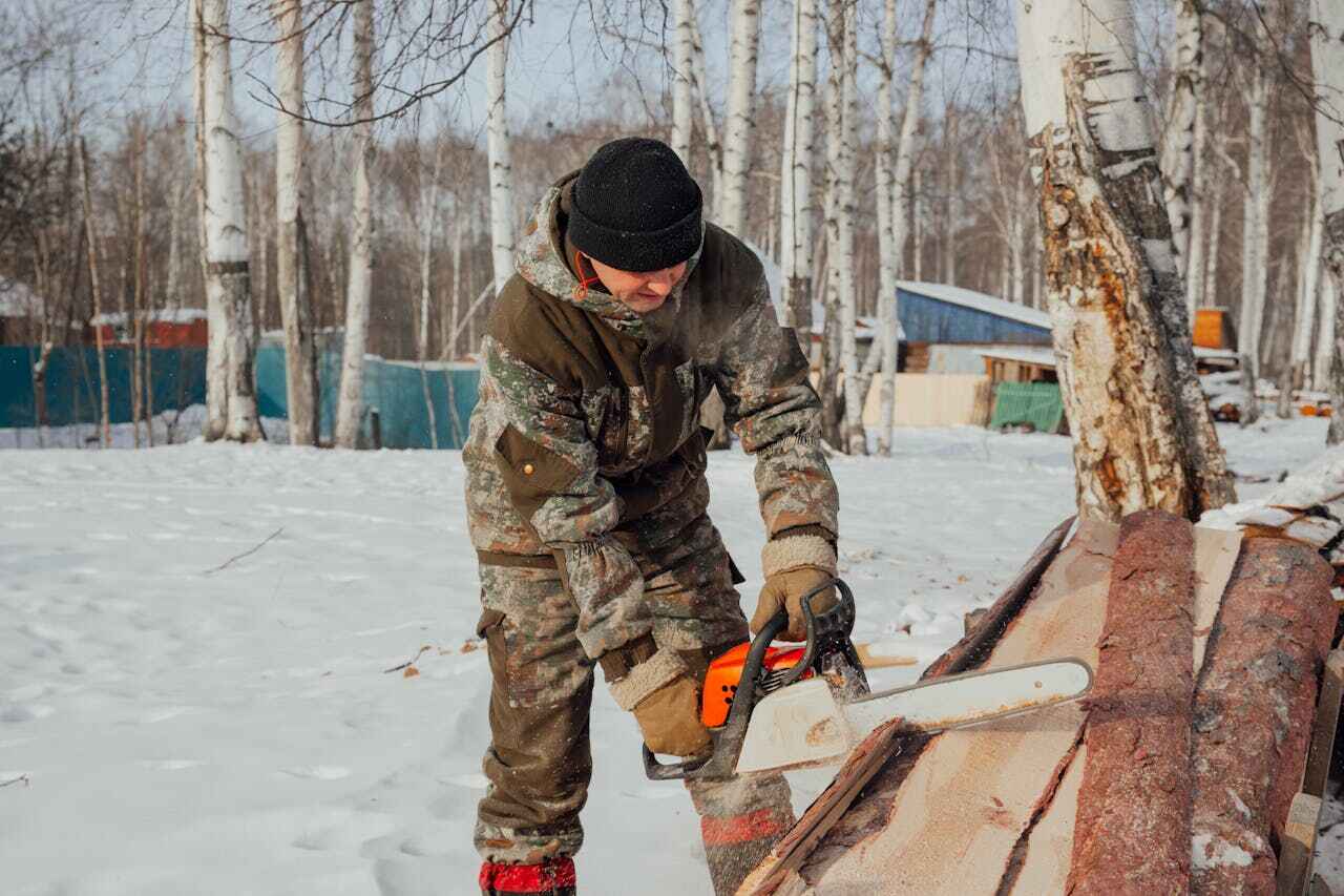 Residential Tree Removal in Black Jack, MO